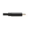 8413ca925692f0536ff753bceaee9c90 Tripp Lite series USB-C to DisplayPort Bi-Directional Active Adapter Cable (M/M), 4K 60 Hz, HDR, Locking DP Connector, 10 ft. (3.1 m), TAA