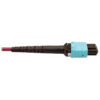 842b4f84950e16de5811bbfc0c686b3c Tripp Lite series 400G Multimode 50/125 OM4 Plenum Fiber Optic Cable, 16F MTP/MPO-APC to 24F MTP/MPO-UPC (F/F), Magenta, 5 m