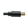 Tripp Lite series Mini DisplayPort to DisplayPort Adapter Cable, 4K (M/M), DP Latching Connector, Black, 10 ft. (3.1 m)