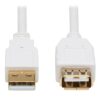 Tripp Lite series Safe-IT USB 2.0 Antibacterial Extension Cable (A M/F), USB 2.0, White, 6 ft. (1.83 m)