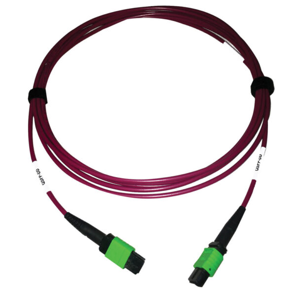 879109fb5238312d31cfc888ae6b62fe Tripp Lite series 400G Multimode 50/125 OM4 Plenum-Rated Fiber Optic Cable, 16F MTP/MPO-APC (F/F), Magenta, 3 m