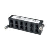 Tripp Lite series 100Gb/120Gb Pass-Through Cassette - (x12) 24-Fiber MTP/MPO ( Female )