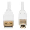 89f767e1ac91a001ac536053d16265b5-1 Tripp Lite series Safe-IT USB 2.0 A to B Antibacterial Cable (M/M), White, 6 ft. (1.83 m)