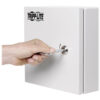 8aea9beeb7372a3f78b472a76bd1db4b Tripp Lite series SmartRack Outdoor Industrial Enclosure with Lock - NEMA 4, Surface Mount, Metal Construction, 10 x 10 x 10 in., Gray