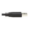 Tripp Lite series USB-C to USB-A Cable (M/M), USB 3.2 Gen 2 (10 Gbps), Thunderbolt 3 Compatible, 20-in. (50.8 cm)