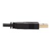 Tripp Lite series DisplayPort KVM Cable Kit - DP, USB, 3.5 mm Audio (3xM/3xM) + USB (M/M), 4K, 4:4:4, 10 ft. (3.05 m), Black