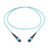 8ca2dddd842824cca9a4a87687f1e8d6 Tripp Lite series 100G Multimode 50/125 OM4 Fiber Optic Cable (12F MPO/MPO-PC F/F), Type-A Polarity, OFNP, Aqua, 1 m (3.3 ft.), TAA