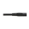 Tripp Lite series Power Cord, NEMA 5-15P to C15 - Heavy-Duty, 15A, 125V, 14 AWG, 4 ft. (1.22 m), Black