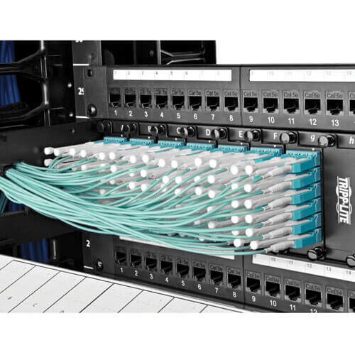 Tripp Lite series MTP/MPO Fan-out Cable with Push/Pull Tab Connectors, MTP/MPO to 4xLC, 40GbE, 40GBASE-SR4,OM3 Plenum-rated - Aqua, 5M (16.4 ft.)