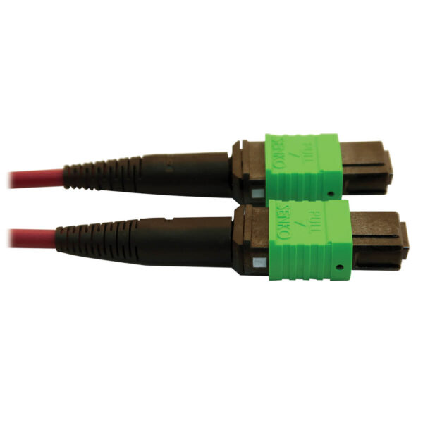 Tripp Lite series 400G Multimode 50/125 OM4 Plenum-Rated Fiber Optic Cable, 16F MTP/MPO-APC (F/F), Magenta, 1 m