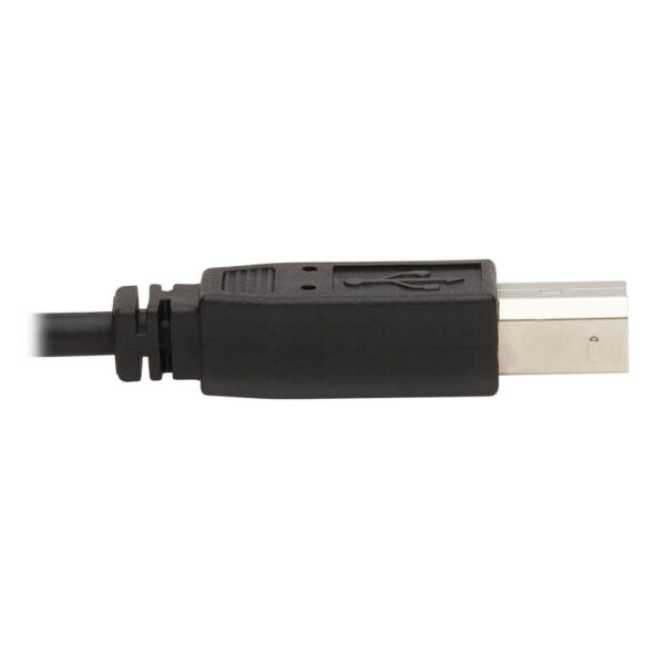 902d4f2fb55af2e32988109b43b49b8d Tripp Lite series DisplayPort KVM Cable Kit, 3 in 1 - 4K DisplayPort, USB, 3.5 mm Audio (3xM/3xM), 4:4:4, 10 ft. (3.05 m), Black