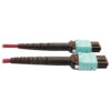 Tripp Lite series 400G Multimode 50/125 OM4 Plenum Fiber Optic Cable, 16F MTP/MPO-APC to (x2) 12F MTP/MPO-UPC (F/F), Magenta, 1 m