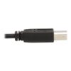 Tripp Lite series DisplayPort KVM Cable Kit - DP, USB, 3.5 mm Audio (3xM/3xM) + USB (M/M), 4K, 4:4:4, 10 ft. (3.05 m), Black