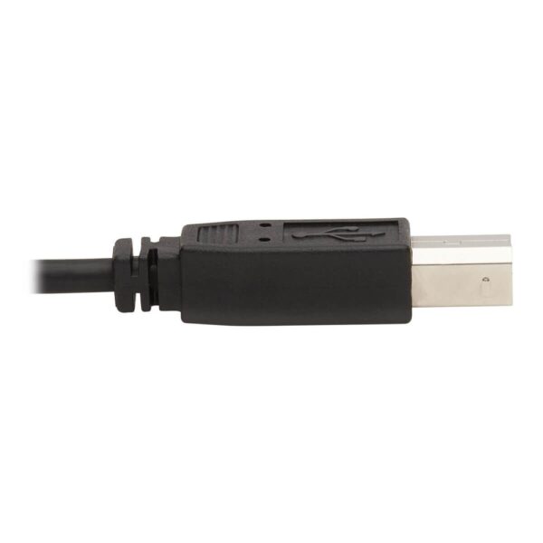 Tripp Lite series DisplayPort KVM Cable Kit - DP, USB, 3.5 mm Audio (3xM/3xM) + USB (M/M), 4K, 4:4:4, 10 ft. (3.05 m), Black