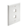 Tripp Lite series 2-Port Keystone Faceplate, Single Gang, ID Labels, White, TAA
