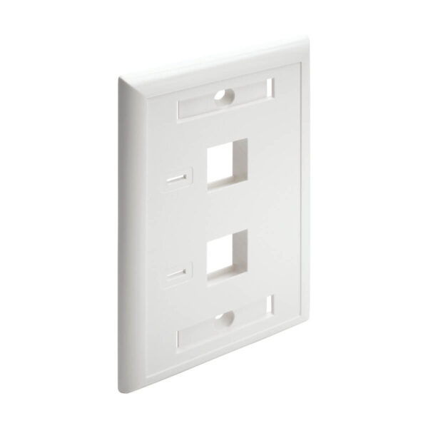 Tripp Lite series 2-Port Keystone Faceplate, Single Gang, ID Labels, White, TAA