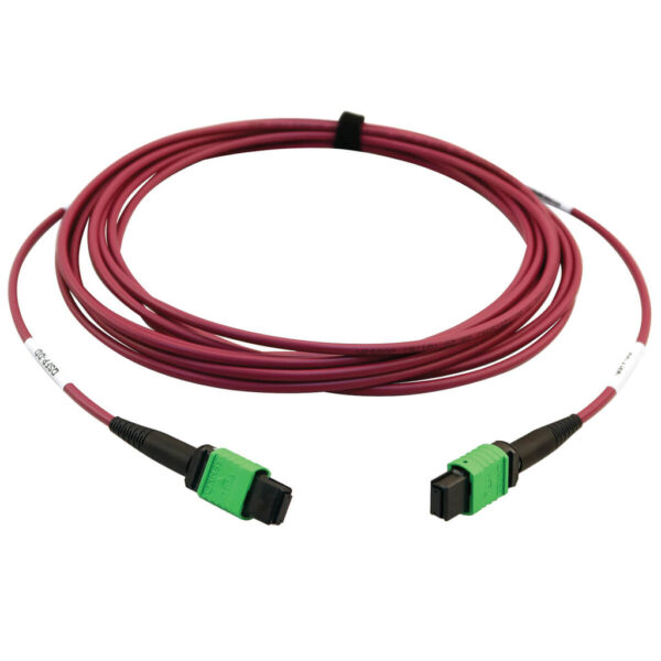 973a2e5e166c2f46b967f17ffb57cfbb Tripp Lite series 400G Multimode 50/125 OM4 Plenum-Rated Fiber Optic Cable, 16F MTP/MPO-APC (F/F), Magenta, 5 m