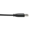 97fd517871ca49d70b68c6a7d2baaa1f Tripp Lite series USB-C to USB-A Cable (M/M), USB 3.2 Gen 2 (10 Gbps), USB-IF Certified, Thunderbolt 3 Compatible, 3 ft. (0.91 m)