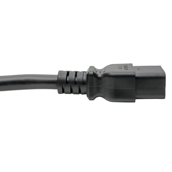 Tripp Lite series Power Cord, C19 to NEMA L5-20P - Heavy-Duty, 20A, 125V, 12 AWG, 10 ft. (3.05 m), Black
