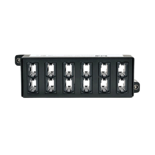 Tripp Lite series 100Gb/120Gb Pass-Through Cassette - (x12) 24-Fiber MTP/MPO ( Female )
