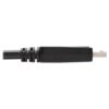 Tripp Lite series Safe-IT DisplayPort to DVI Antibacterial Adapter Cable (DP to DVI-D Single Link M/M), 1080p 60 Hz, Black, 6 ft. (1.8 m)
