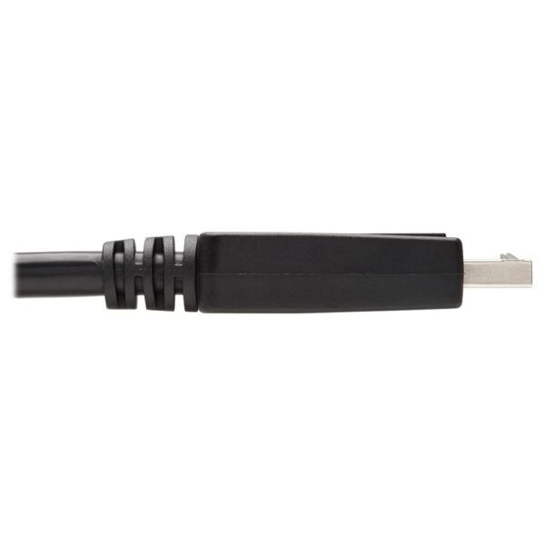 Tripp Lite series Safe-IT DisplayPort to DVI Antibacterial Adapter Cable (DP to DVI-D Single Link M/M), 1080p 60 Hz, Black, 6 ft. (1.8 m)