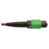 Tripp Lite series 400G Multimode 50/125 OM4 Plenum Fiber Optic Cable, 16F MTP/MPO-APC to (x2) 12F MTP/MPO-UPC (F/F), Magenta, 3 m