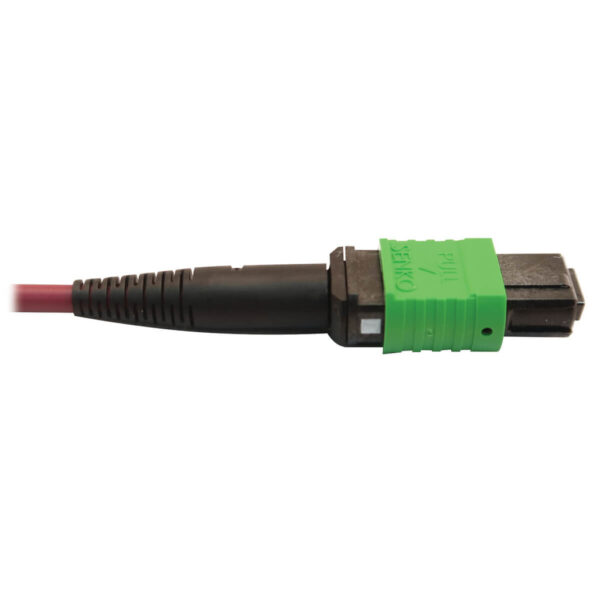 Tripp Lite series 400G Multimode 50/125 OM4 Plenum Fiber Optic Cable, 16F MTP/MPO-APC to (x2) 12F MTP/MPO-UPC (F/F), Magenta, 3 m
