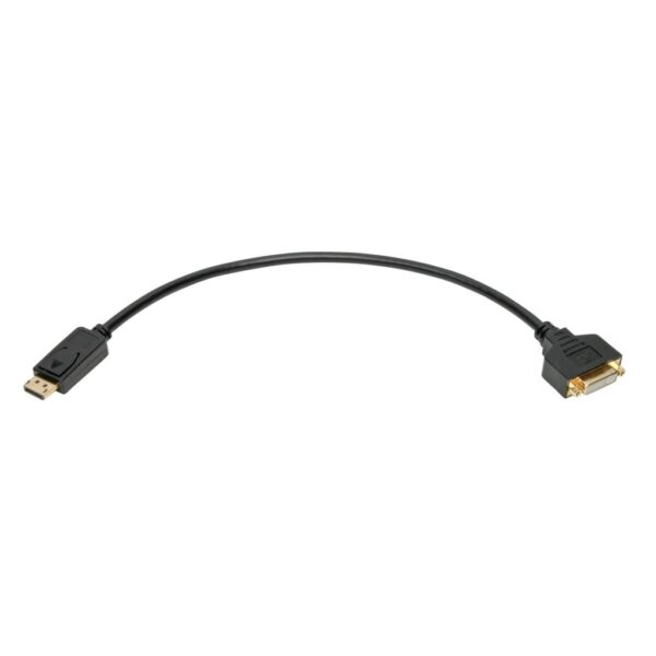 9d817ecf60ef008b37f338c59082db4f Tripp Lite series DisplayPort to DVI Adapter Video Converter, Black (M/F), 1 ft. (0.31 m)
