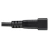 Tripp Lite series Splitter Cable, Heavy-Duty, C20 to 2x C13 - 15A, 100-250V, 14 AWG, 2 ft. (0.61 m), Black