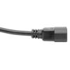 Tripp Lite series Power Extension Cord, Locking C13 to C14 PDU Style - 10A, 250V, 18 AWG, 10 ft. (3.05 m)