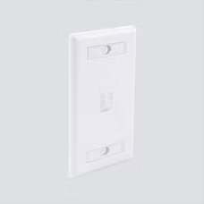 FPW1PXX-SPK 1-Port, Single-Gang, Flush Stle, W/ Window Labels, 25-Pack White