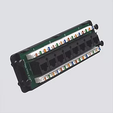 8-Port CAT6 110-1DC Data Module W/Plastic Plate