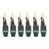 Tripp Lite series MTP/MPO (APC) Singlemode Slim Trunk Cable, 24-Strand, 40/100 GbE, 40/100GBASE-PLR4, Plenum, 6mm Dual Jacket, 38 m (124 ft.)