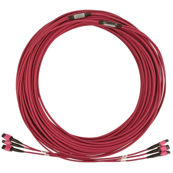 a30ccf6d3903191c2ab1b04cc93c4f66 Tripp Lite series 40/100G Multimode 50/125 OM4 Fiber Optic Cable (3x8F MTP/MPO-PC F/F), LSZH, Magenta, 38 m (124.7 ft.)