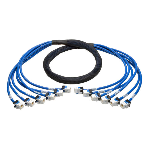 a39dcdfb66c4fff7ff46799aec1052fd Tripp Lite series Cat6a 10G Pre-Terminated Copper Trunk Assembly (6x RJ45 F/F), Blue, 6 ft. (1.83 m) - N261-006-6FF-BL