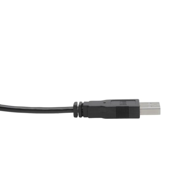 Tripp Lite series DVI to USB-A Dual KVM Cable Kit - (2x Male/2x Male), 1920 x 1200 (1080p) @ 60 Hz, 10 ft. (3.05 m)