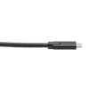 a4dcf3835f7e110ab20bb1d75ead90b8 Tripp Lite series USB-C Cable (M/M) - USB 3.2, Gen 1 (5 Gbps), Thunderbolt 3 Compatible, 10 ft. (3.05 m)