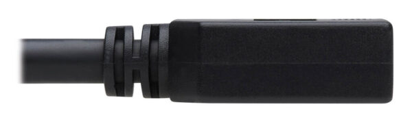 a8a78f58ec1162696dabd5e17af69f54-3 Tripp Lite series DisplayPort Extension Cable with Latch, 4K @ 60 Hz, HDCP 2.2 (M/F), 15 ft. (4.57 m)