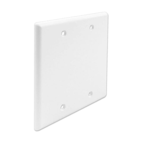 FP00DGWH-S Image Double Gang, Flush Style, Blank Faceplate White