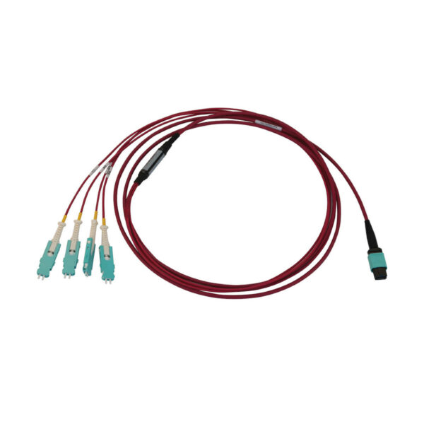 Tripp Lite series 40/100/400G Multimode 50/125 OM4 Breakout Fiber Optic Cable (12F MTP/MPO-PC to 4x Duplex SN-PC F/M), LSZH, Magenta, 3 m (9.8 ft.)