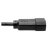 aaf308b7db4c85373af01200c53421ef-2 Tripp Lite series PDU Power Cord, C13 to C14 - 10A, 250V, 18 AWG, 3 ft. (0.91 m), Black