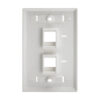 Tripp Lite series 2-Port Keystone Faceplate, Single Gang, ID Labels, White, TAA