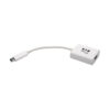 Tripp Lite series USB 3.2 Gen1 Type-C to HDMI 4K Adapter with Alternate Mode - DP 1.2, White