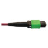 ada58a8c811ac51330b44850a4ed5940 Tripp Lite series 400G Multimode 50/125 OM4 Plenum-Rated Fiber Optic Cable, 16F MTP/MPO-APC (F/F), Magenta, 5 m