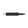 Tripp Lite series USB-A to USB-C AOC Cable (M/M) - USB 3.2 Gen 2 (10Gbps) Plenum-Rated Fiber Active Optical - Data Only, Black, 30 m (98 ft.)