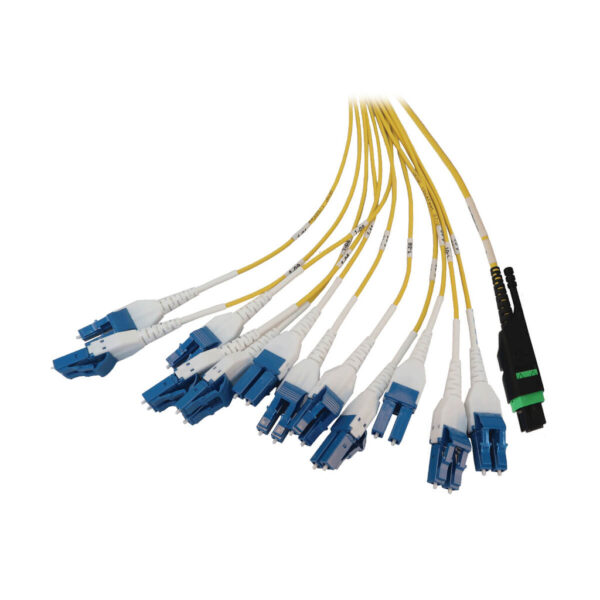 Tripp Lite series Preloaded Fiber Panel, 1U - 2x (24F MTP/MPO-APC to 12x LC Duplex F/M) 24F Trunk Cables, OS2 Singlemode, 20 m (65.6 ft.)