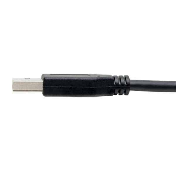 Tripp Lite series USB-C to USB-A Cable (M/M), USB 3.2 Gen 1 (5 Gbps), Thunderbolt 3 Compatible, 6 ft. (1.83 m)