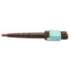 b0de361440d0f19ea84cf147cc69805e-1 Tripp Lite series 400G Multimode 50/125 OM4 Plenum Fiber Optic Cable, 16F MTP/MPO-APC to 24F MTP/MPO-UPC (F/F), Magenta, 1 m