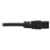 Tripp Lite series Power Extension Cord, C19 to C20 - Heavy-Duty, 15A, 250V, 14 AWG, 15 ft. (4.6 m), Black